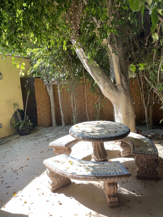 Large private yard - 923 S Bedford St