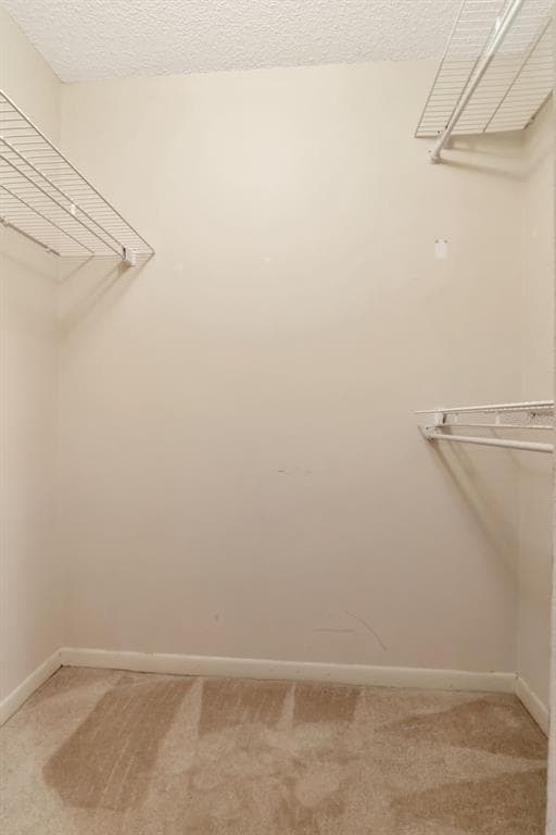 Building Photo - 320 Island Way