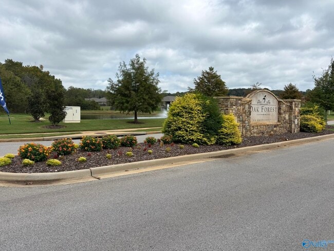 Building Photo - 105 High Leaf Dr