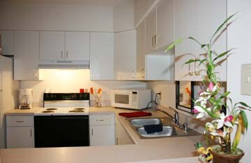 Building Photo - 2202 Luann Place