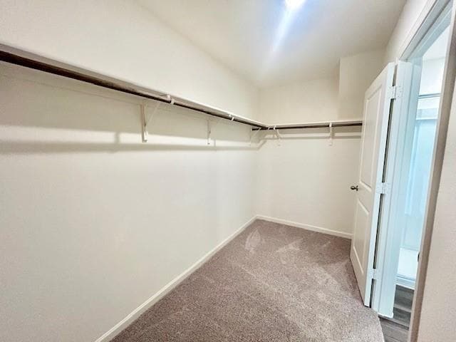 Building Photo - 4509 Firewheel Dr