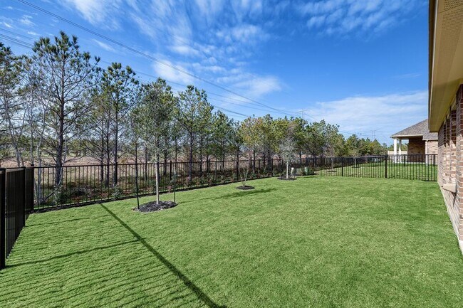 Building Photo - 10935 Water Hyssop Ln