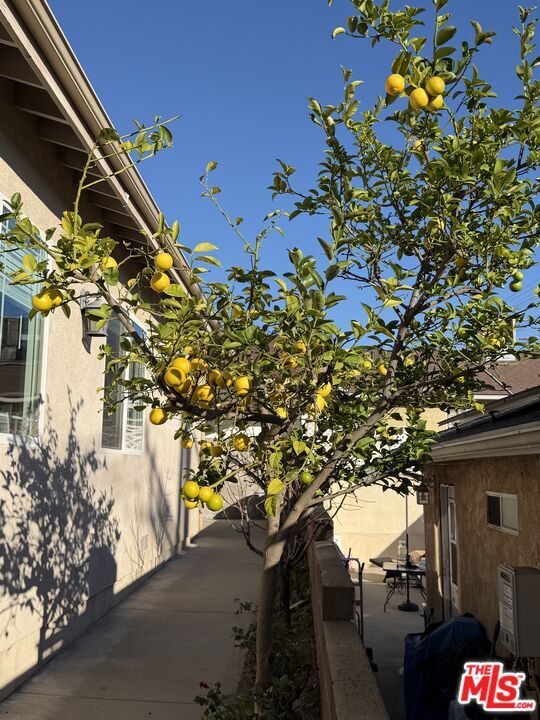 Building Photo - 10006 Samoa Ave