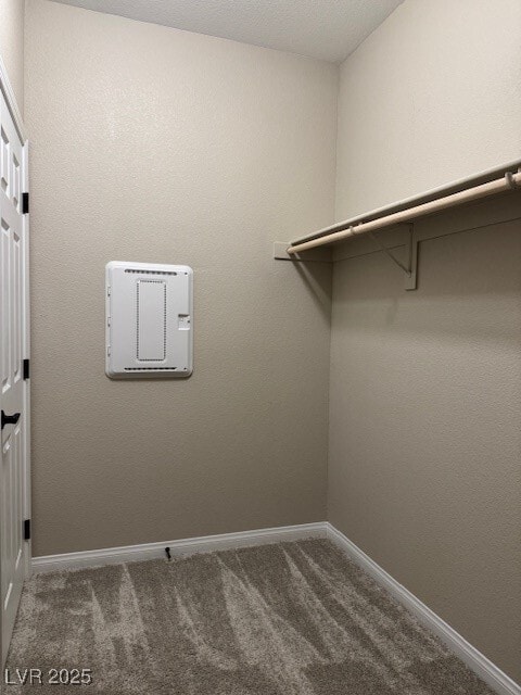 Building Photo - 534 Celebratory Pl