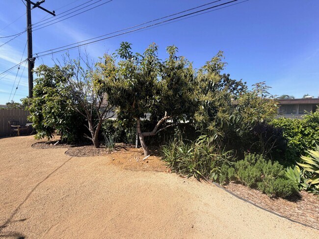 Building Photo - 3 Bed/ 2 Bath Brea Home w/Garage and Native Landscaped Yard