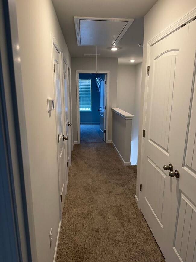 Building Photo - 3 BR/2BA | Newly Renovated Single Family Home | Covered Patio | In Columbia!