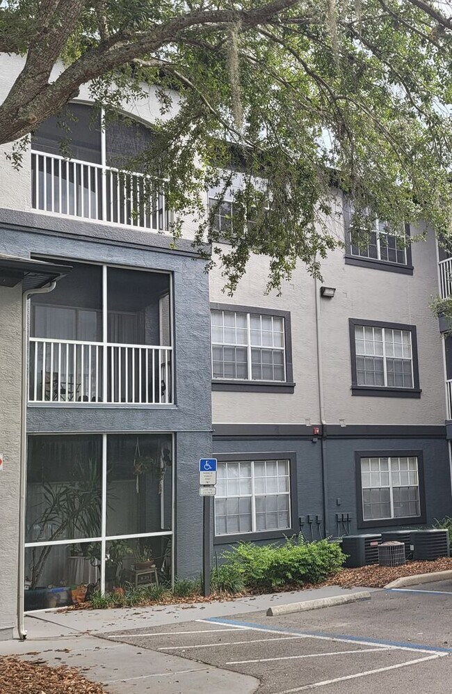 Building Photo - The Preserve at Temple Terrace -