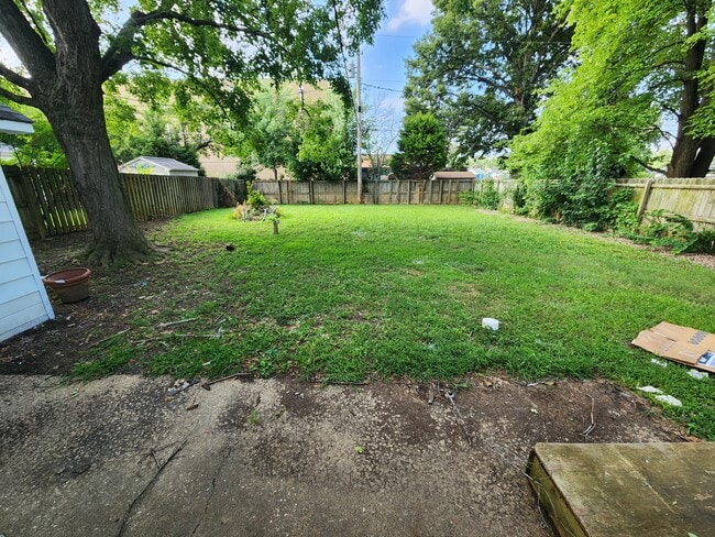 Backyard - 852 E Olmstead Ave