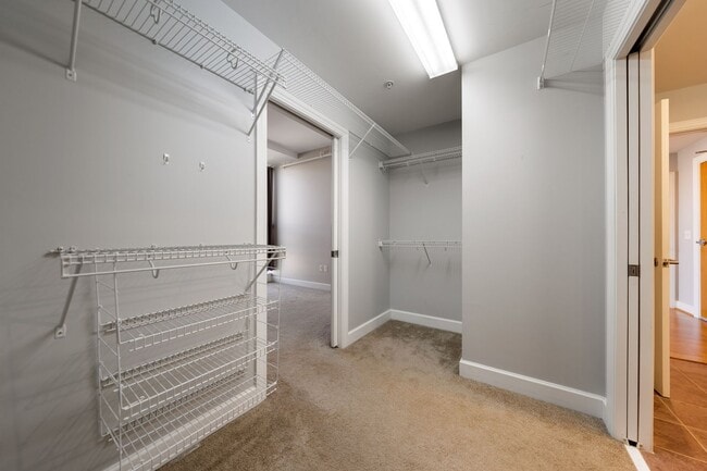 Building Photo - Light filled 1 bed/ 1 bath condo with balcony minutes to downtown Chapel Hill