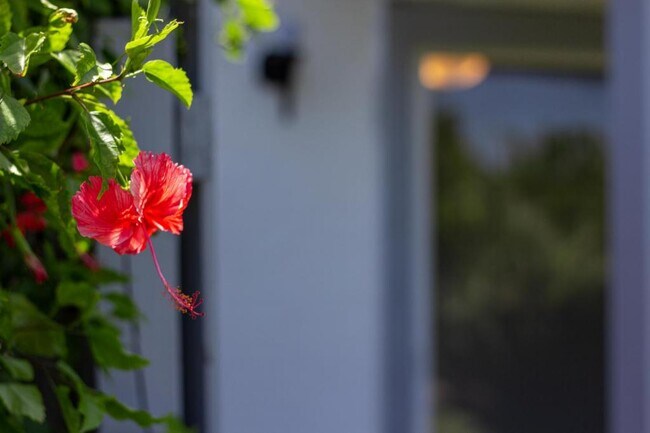 Building Photo - 1004 Ocean Park Ln