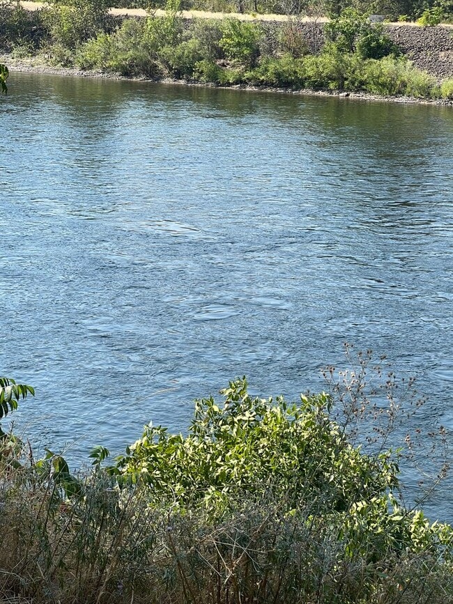 Building Photo - Fully Furnished Riverfront Cabin on the Clearwater River – Move-In Ready!