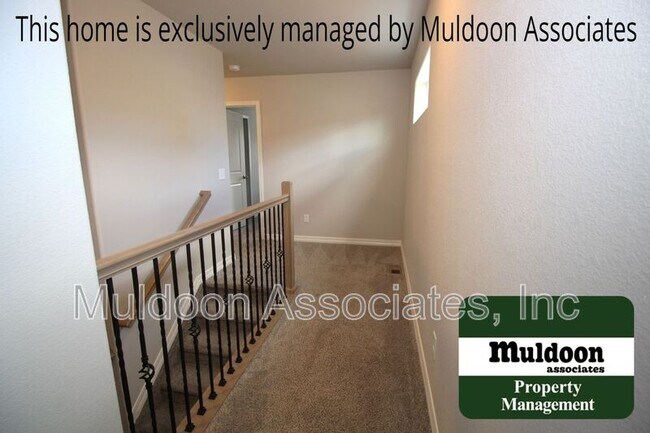 Building Photo - 7525 Mount Elbert Pt