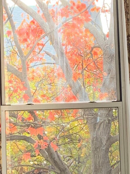 Building Photo - 196 W 9th St