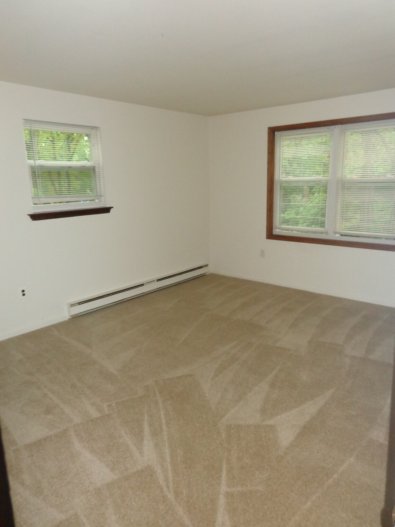 Bedroom 1 - 325 Olive Ave