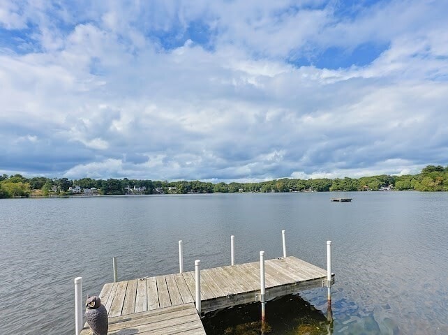 Building Photo - 47 Lakeshore Dr