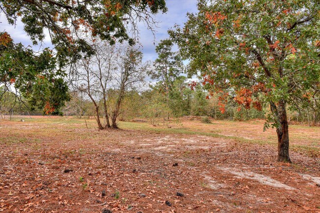Building Photo - 1261 Lone Oak Ct