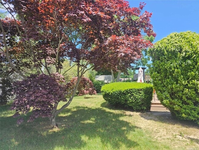 Building Photo - 1076 Carll Dr