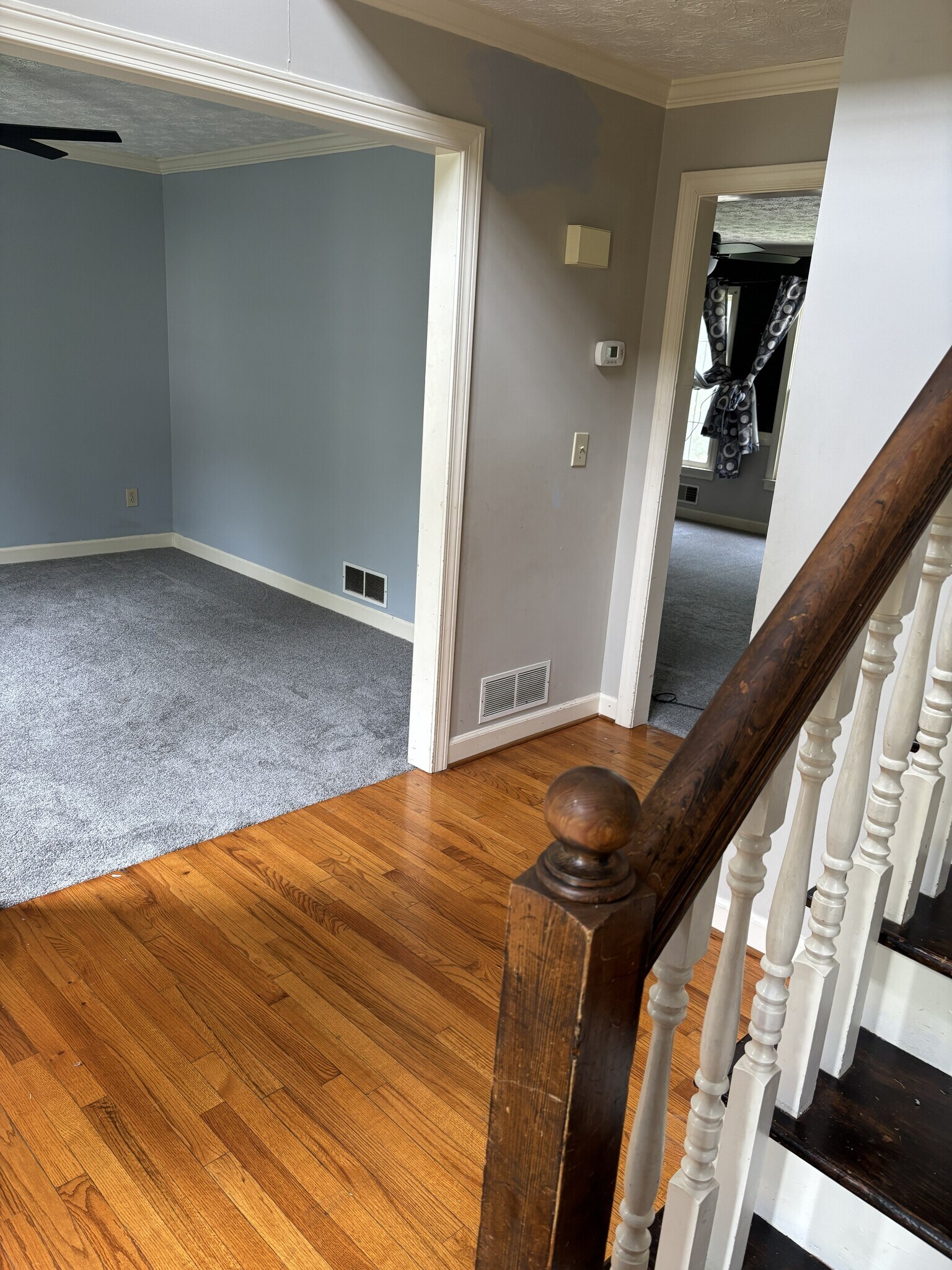 Building Photo - 3685 Timberloch Trl
