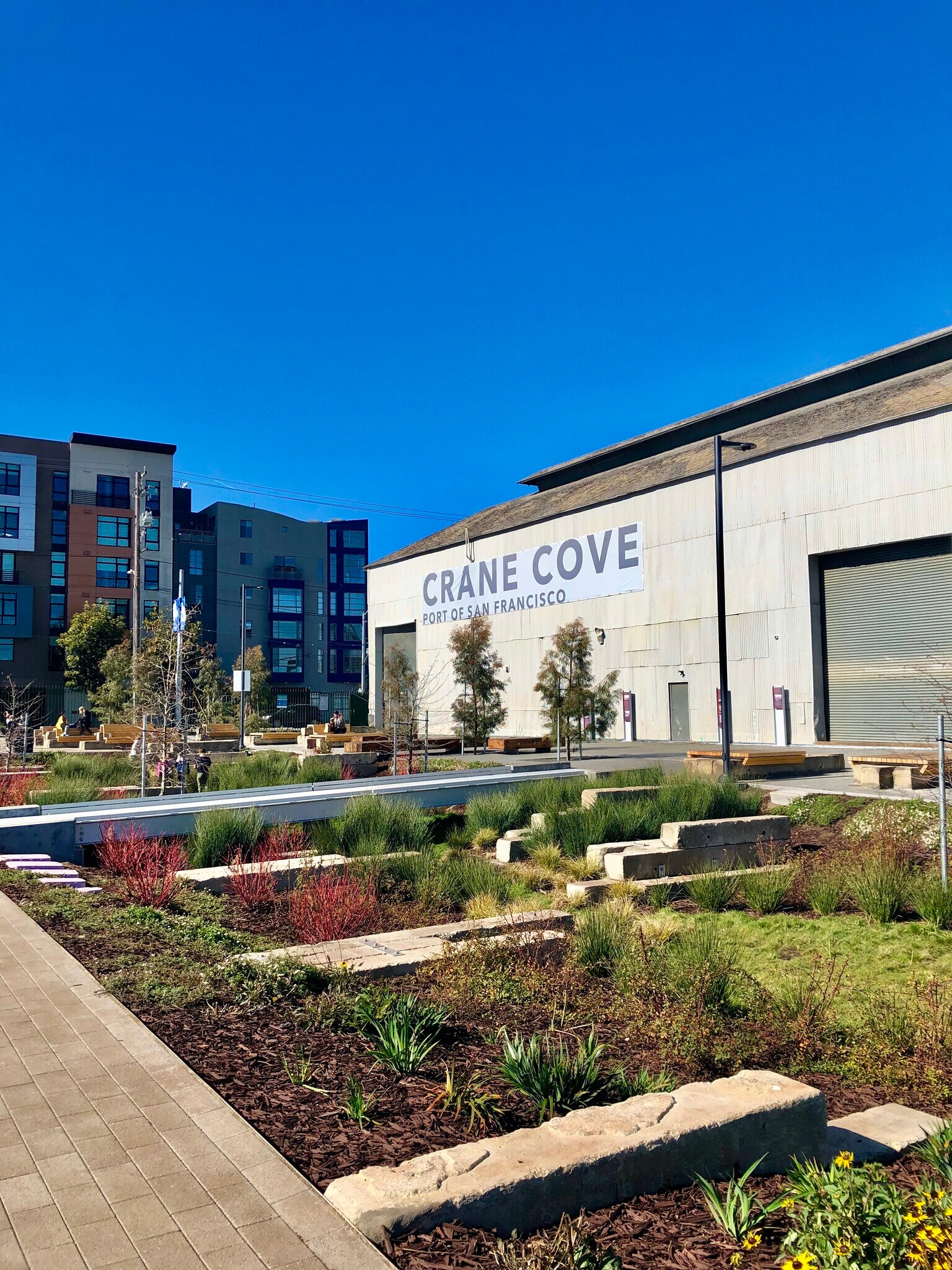 Crane Cove swale - 616 20th St