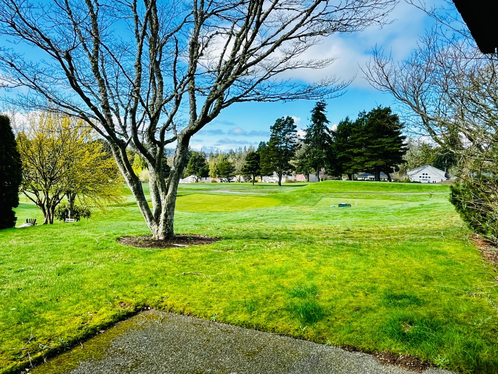 Building Photo - 721 Cherry Ave NE
