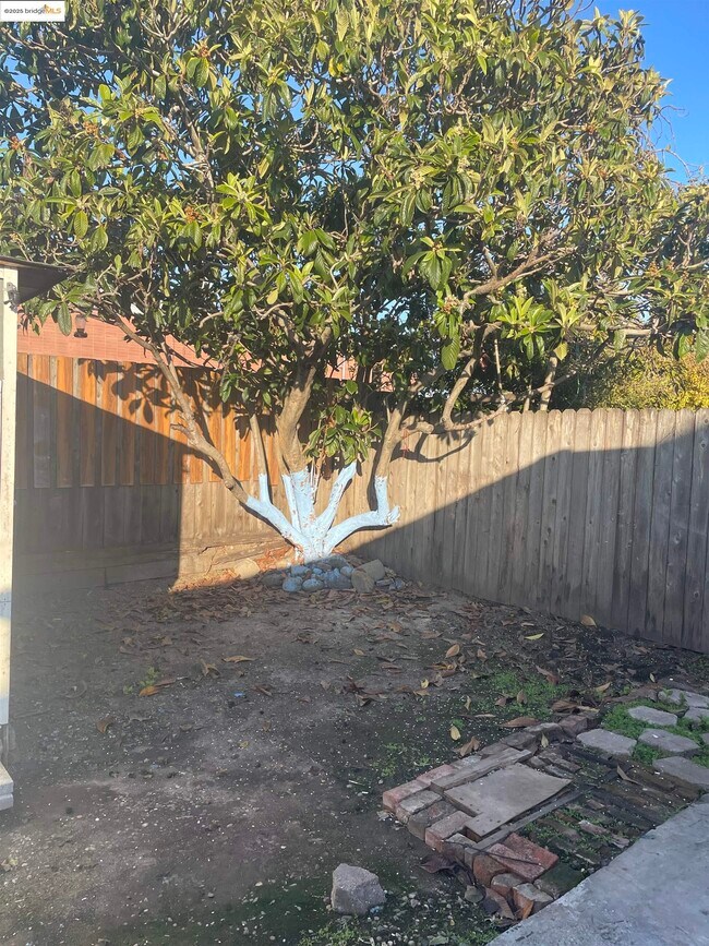 Building Photo - 3525 Bissell Ave