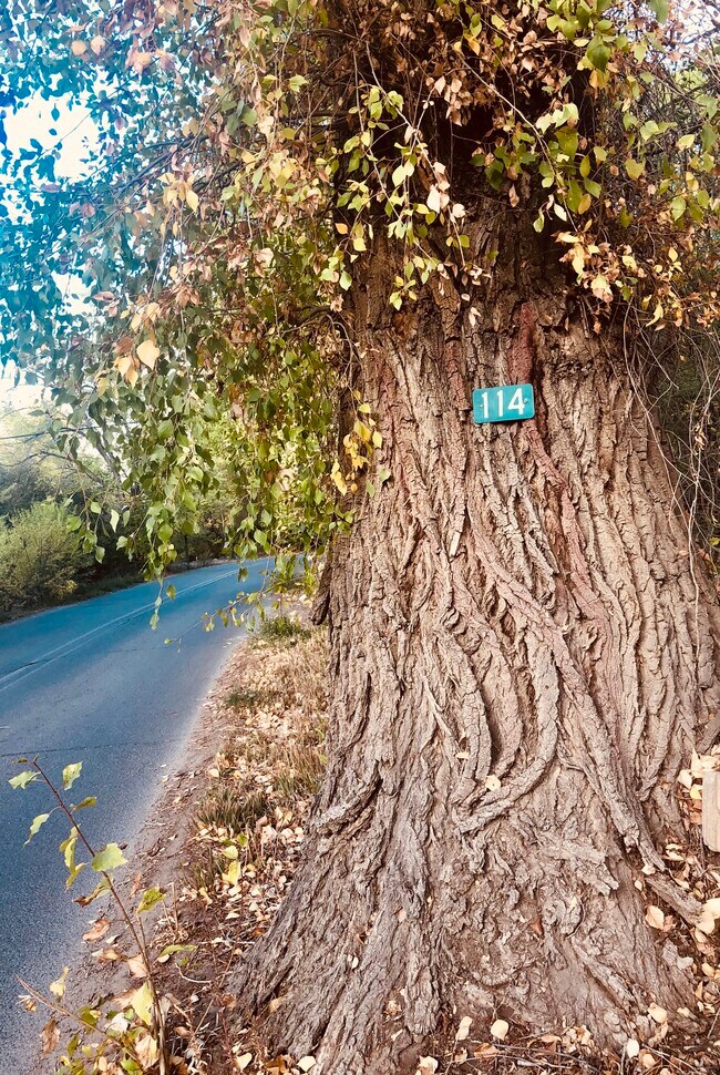 Building Photo - 114 Upper Ranchitos Rd