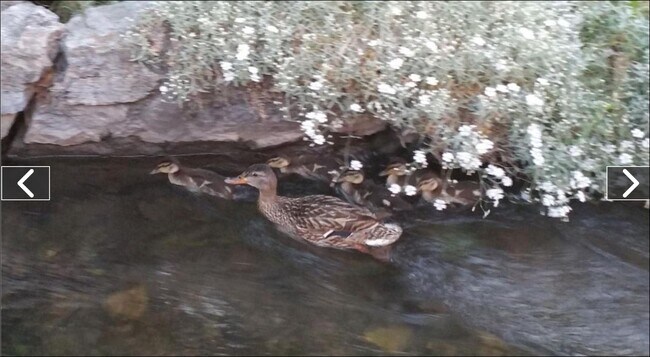 Building Photo - 181 N 200 E