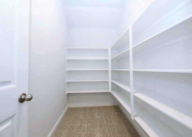 Building Photo - 59 Melon Summer Dr