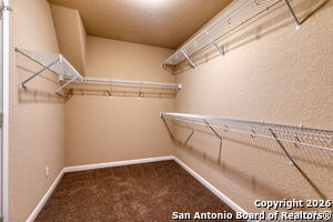 Building Photo - 24211 Mountain Blue