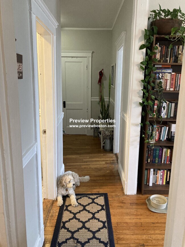 Building Photo - 1572 Commonwealth Ave