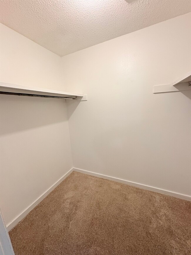 Building Photo - 1530 Live Oak Dr