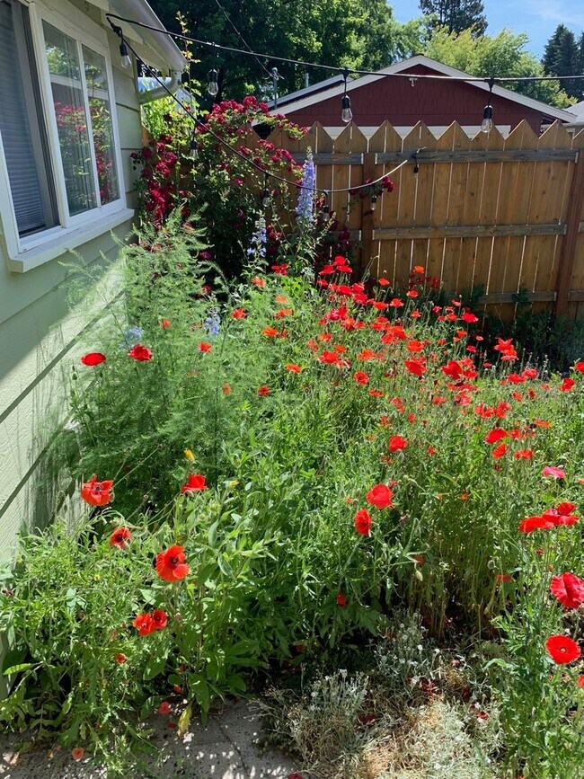 Building Photo - *Unfurnished* Charming, updated and walkable west side 3 BR + den/office