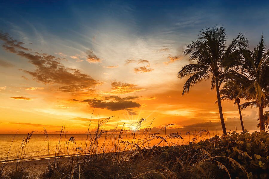 Building Photo - 27989 Lance Dr