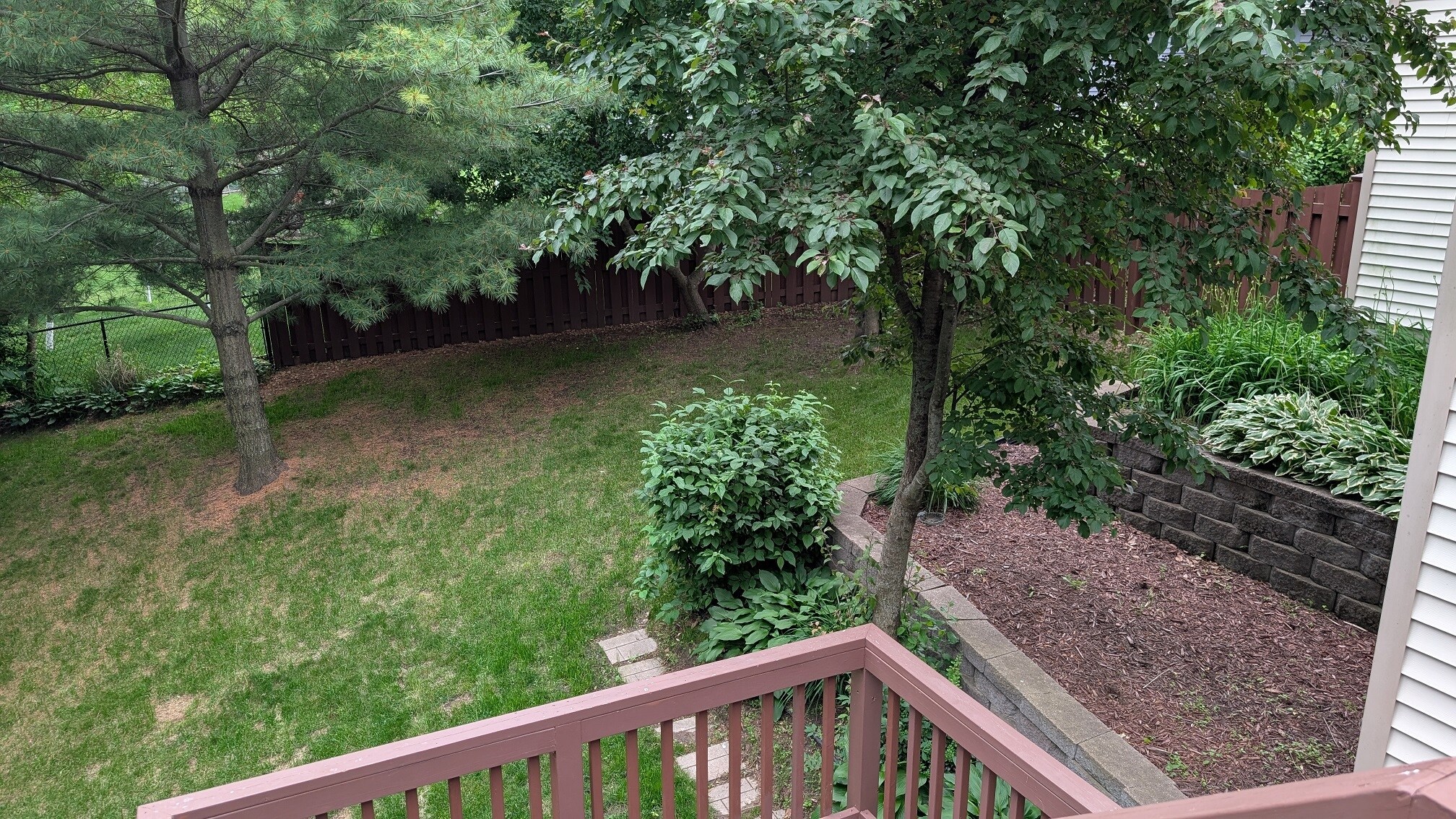 Backyard - 2669 Kathleen Ln NE