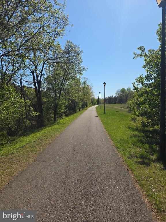 Building Photo - 6242 Levi Ct