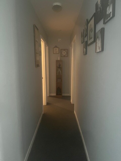 Building Photo - 20 Holbrook Ct