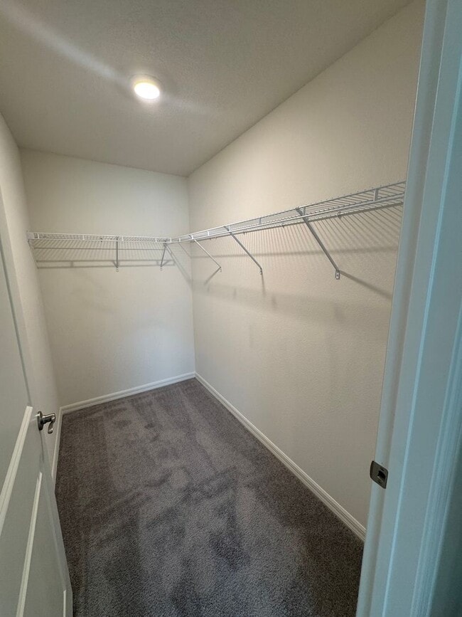 Building Photo - Brand New Construction Rental