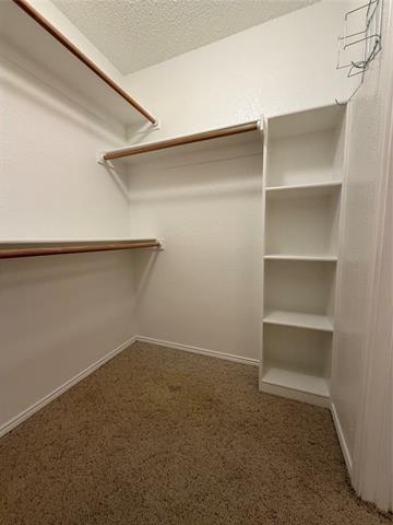 Building Photo - 6436 Stonewater Bend Trail