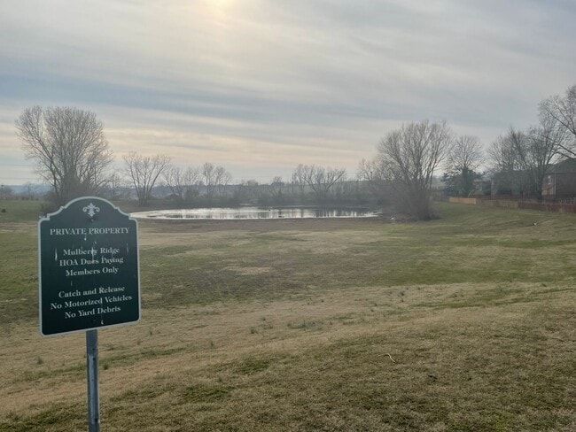 Building Photo - Executive Rental Nestled in Mulberry Ridge Ozark