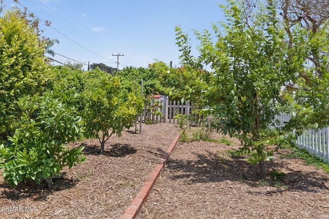 Building Photo - 115 San Miguel Dr