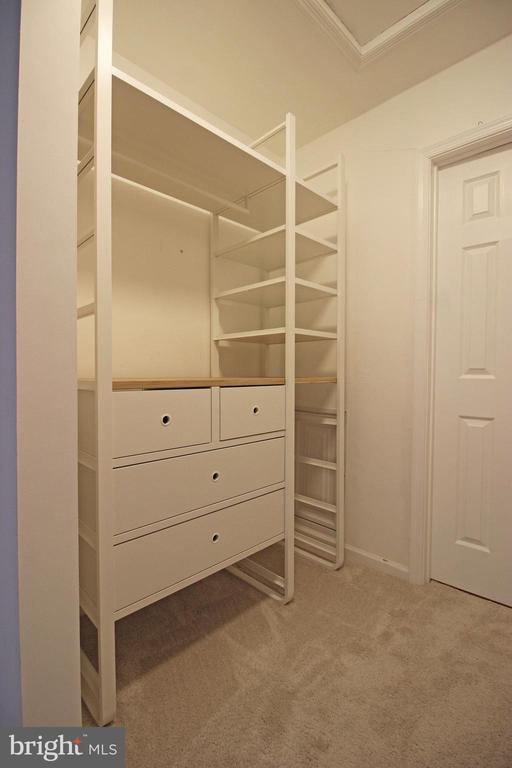 Building Photo - 6608 Jupiter Hills Cir