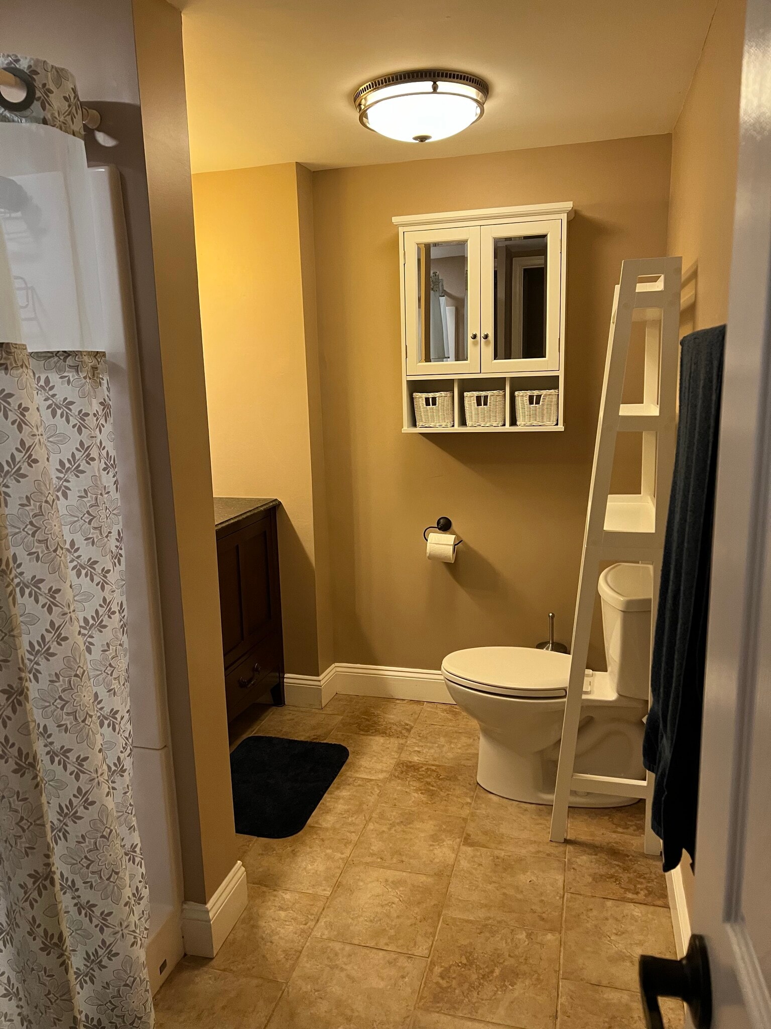 Basement Bathroom - 7413 Skyline Dr