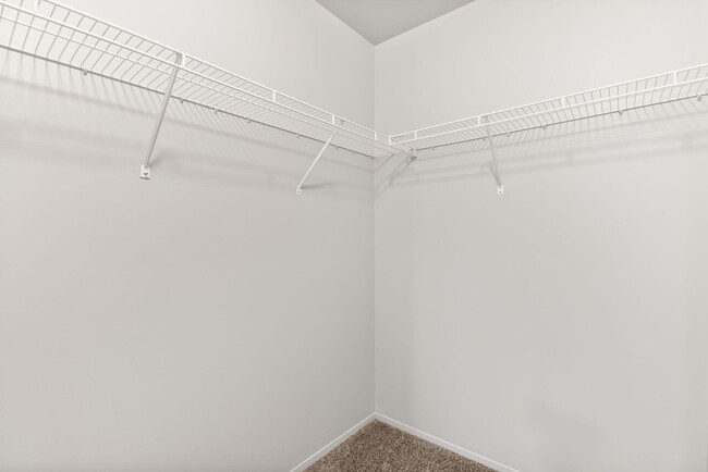 Building Photo - 3034 Forest Creek Ct