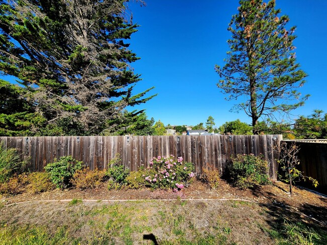 Building Photo - Modern 4 bedroom Burlingame home near Skyline