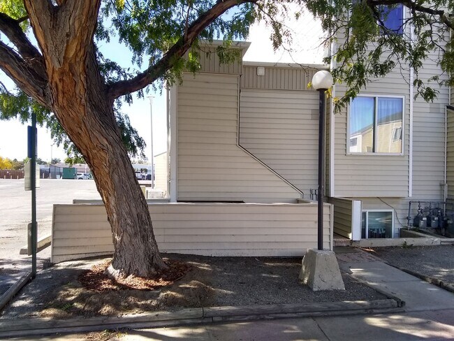 Building Photo - Studio and Bath, 600 sqft with walk in clo...