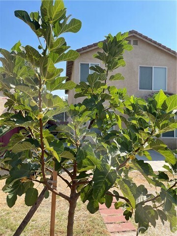 Building Photo - 4280 Jenkins Ln