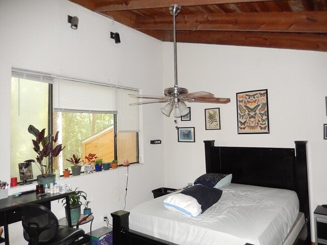 Building Photo - 2475 Rumba Ct
