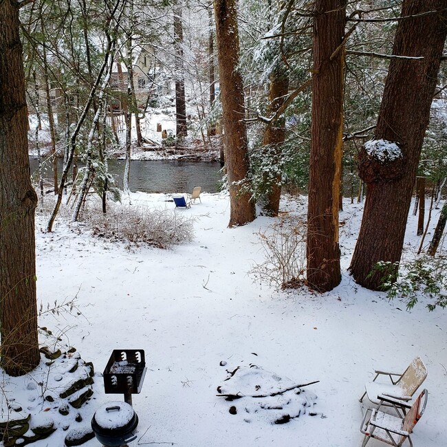 Building Photo - Gorgeous River Front Cabin in the Woods Fu...