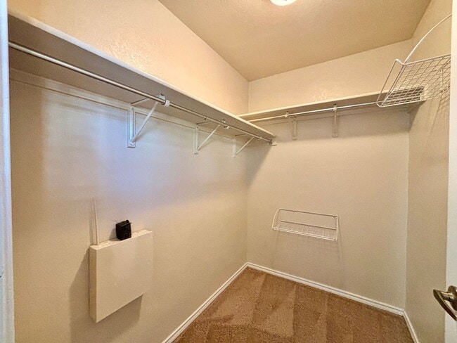 Building Photo - Bright and Open 4 bedroom 2 bath Single Story Home on the NE side of SA!