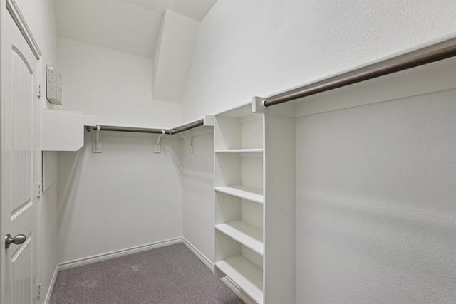 Building Photo - 924 Lake Cypress Ln